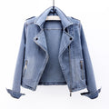Gemma - Moto Jacket Tailored Fit